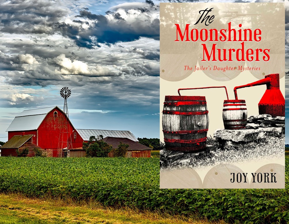 Moonshine And Murders Book Wendy Hazle Podcast